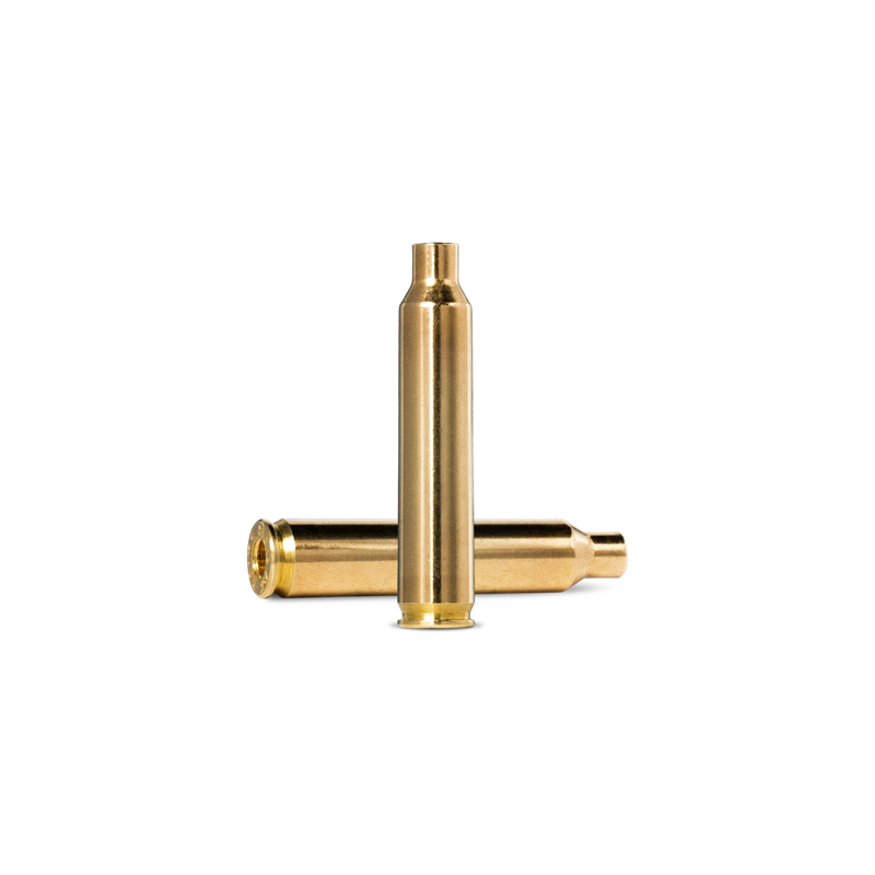 204 ruger cases Casquillos deBala 